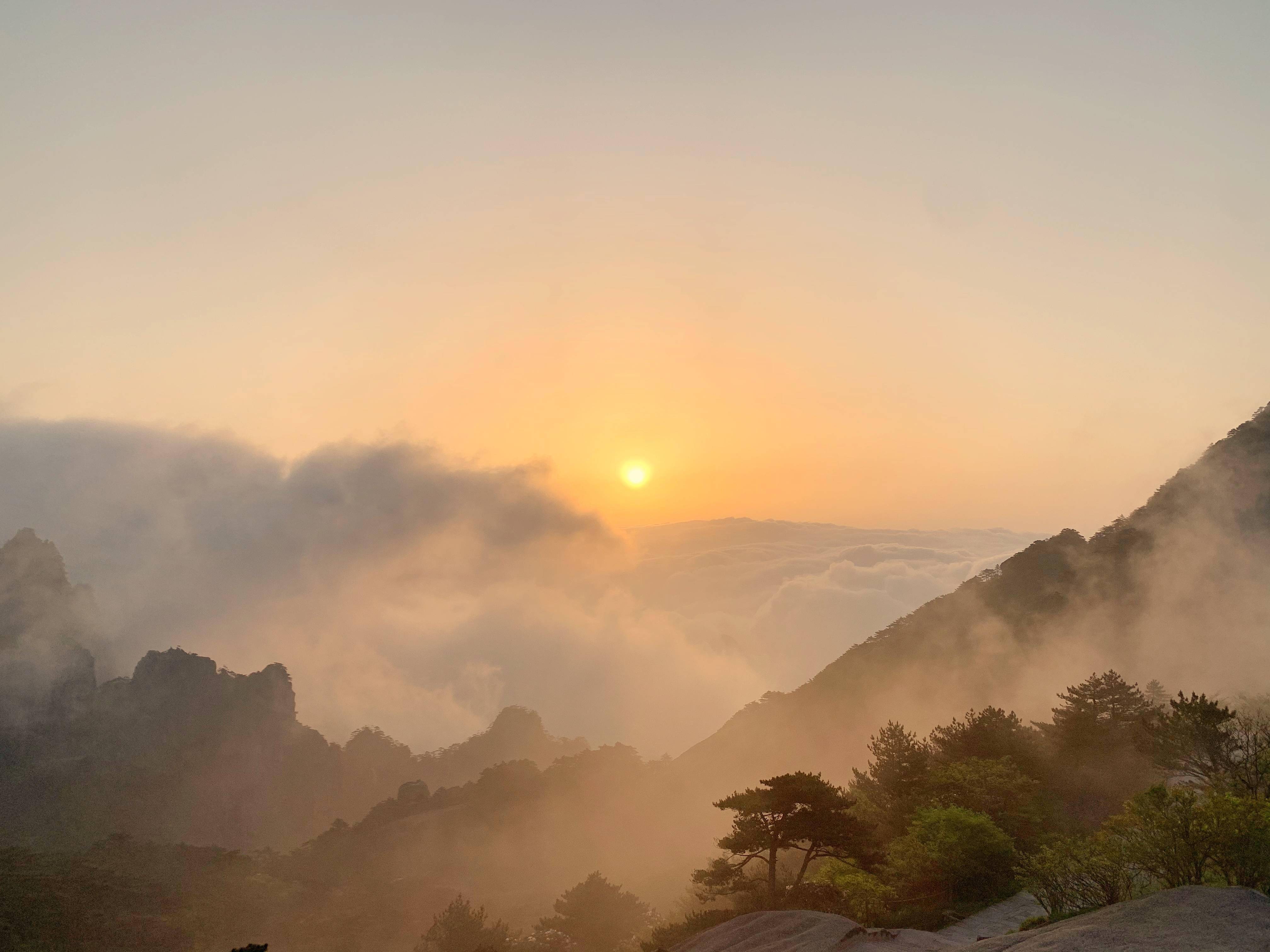 山姓全国有多少人口_山东出现肺炎疫情分布图 全国肺炎疫情最新分布图 山东(3)