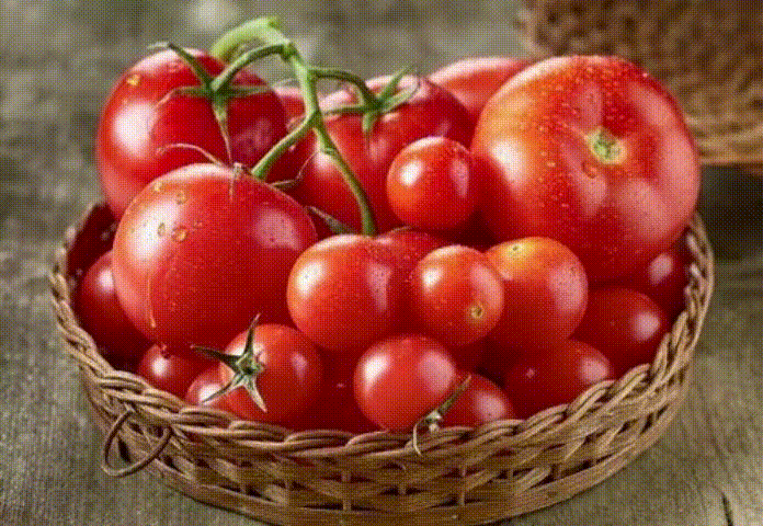 番茄酸甜猪肉 414d99beffbe4f7791400b867998415a.gif