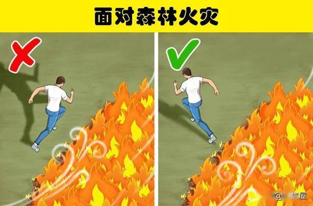 发现大量的飞禽走兽开始朝着某一个方向奔跑,那说明森林火灾已经发生