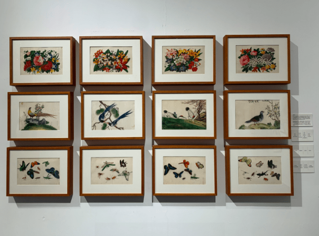 博物|8米长恐龙模型、远古琥珀、黑水摄影……假期来这里能大饱眼福