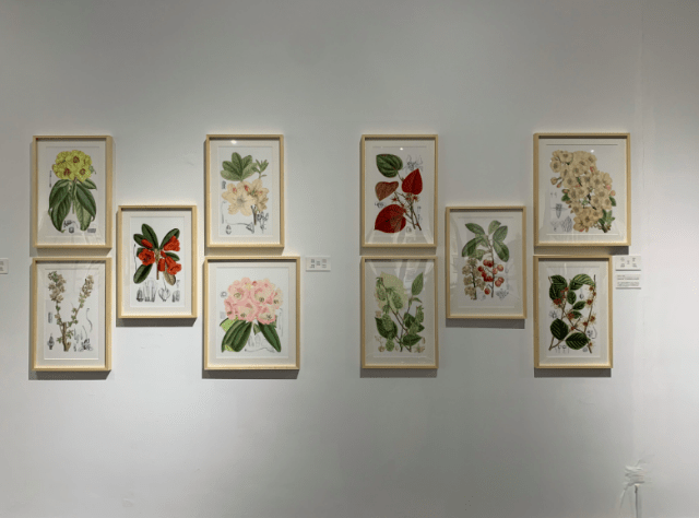 博物|8米长恐龙模型、远古琥珀、黑水摄影……假期来这里能大饱眼福