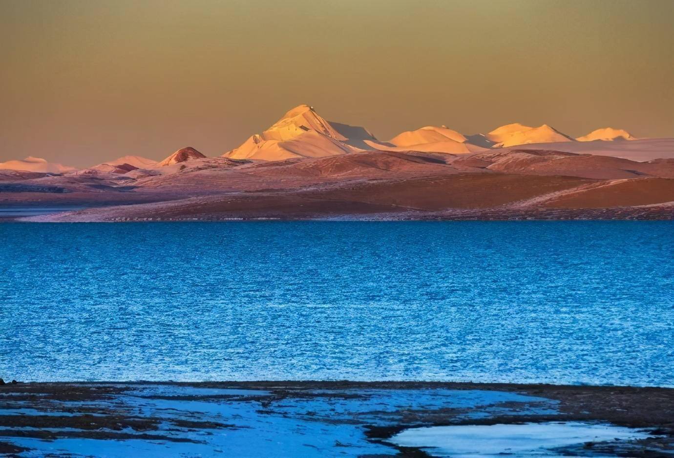 荒野秘境可可西里来一趟与藏羚羊的赛跑67676767