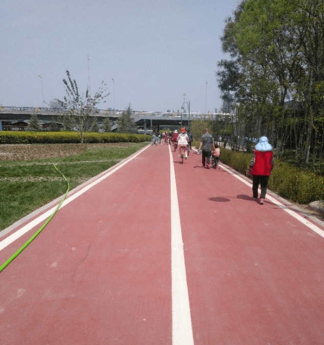 太原滨河东路自行车专用道:有些人太不自觉了.