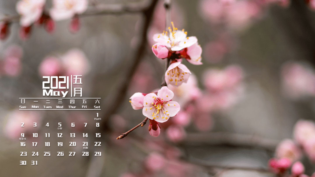上新了东林五月日历壁纸请查收