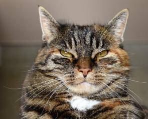 怎么才能不生闷气呢 e94ead3a5810435bac558fecf43741d1.jpeg