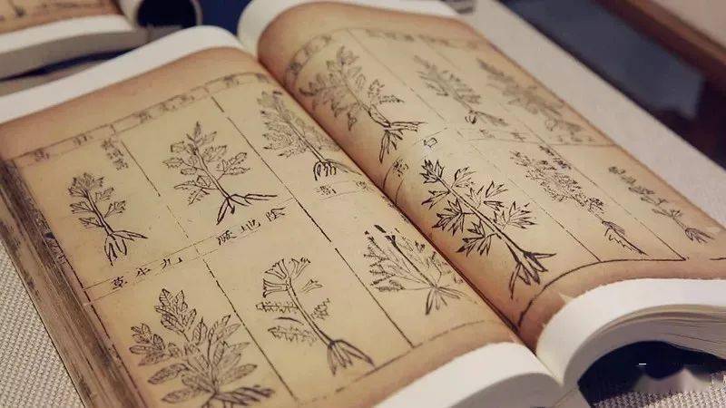 何广益 张诗晗 李良松:《本草纲目》明清版本述要