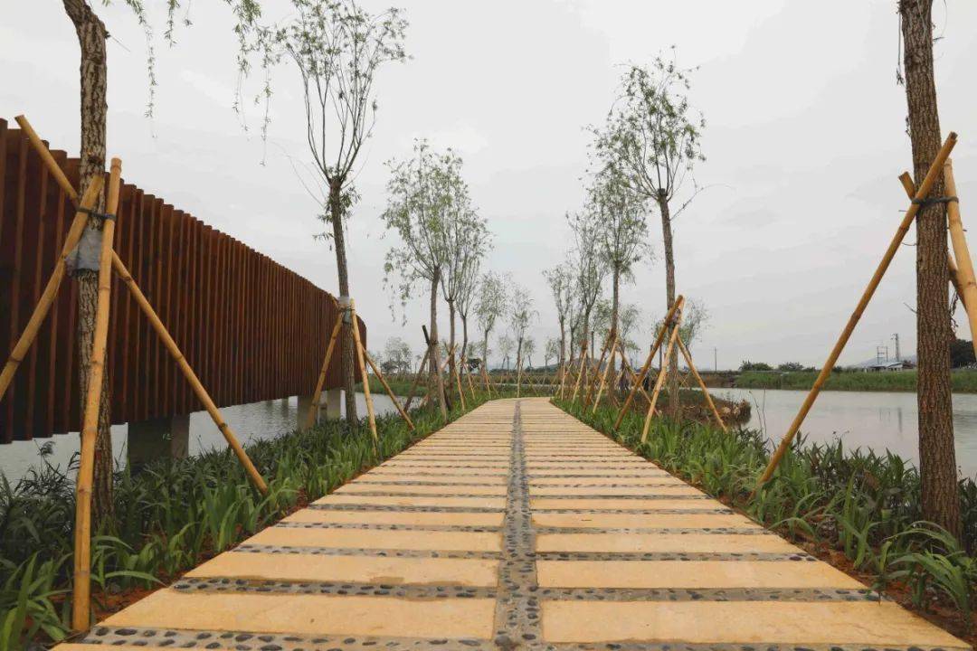 珠海这个公园,新惊喜!