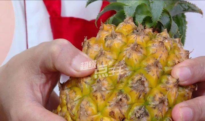凤梨要买青的还是黄的 c41375dc1ac44f1e927a3a1b01d86986.jpeg