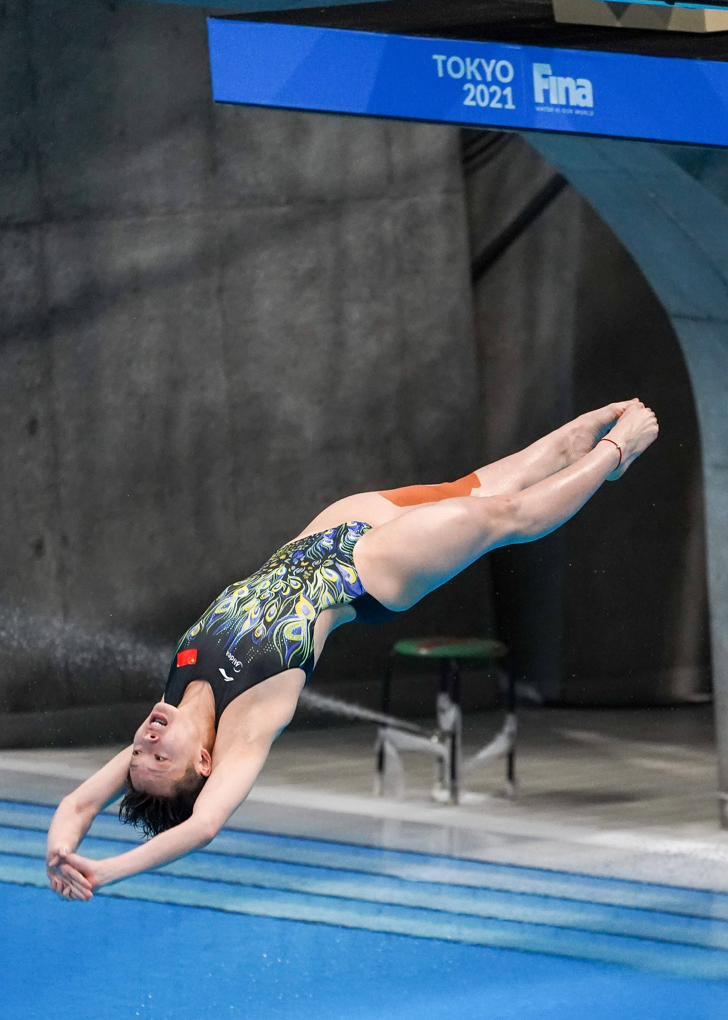 女子跳水运动员图片