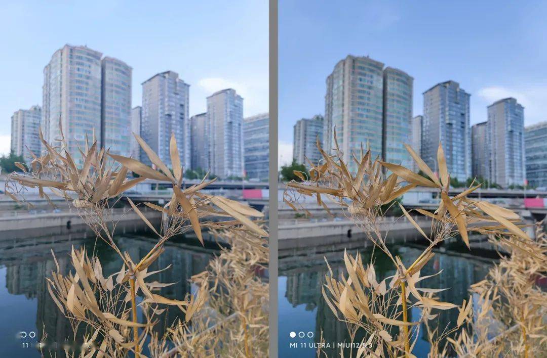 聊聊小米11ultra的拍照表现兼谈dxomark固件的变化