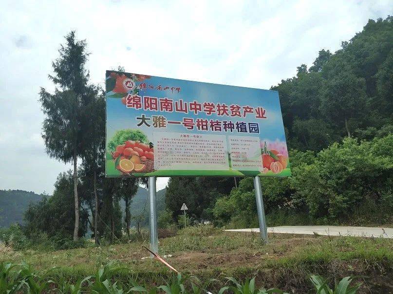 社会和自然都是我们的课堂 南山师生举行五一节地理研学活动 柑橘