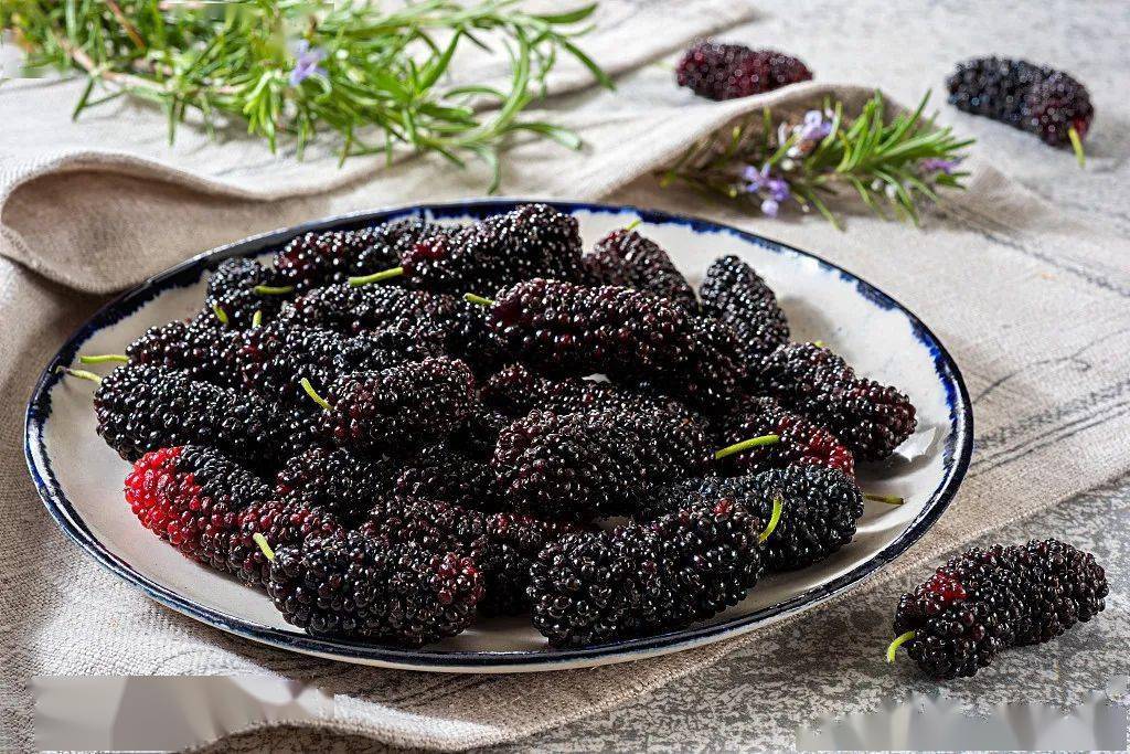 你知道怎么吃吗?_桑葚美