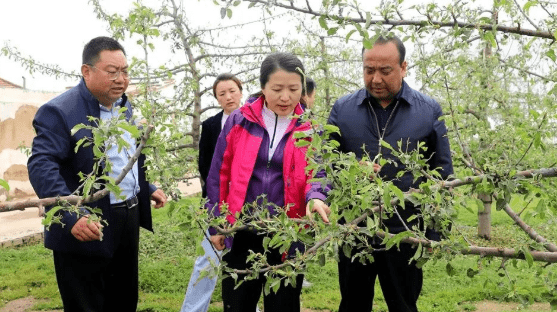 李菊霞深入受灾乡镇查看灾情指导救灾工作