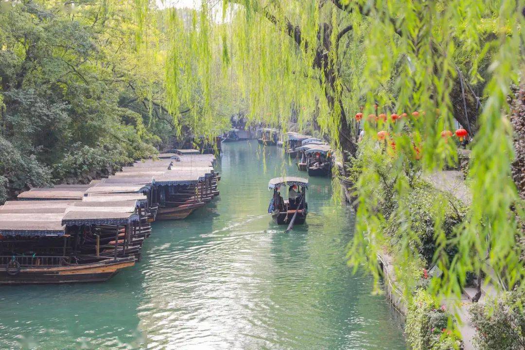 赏繁花游古镇!尽享江南初夏之美