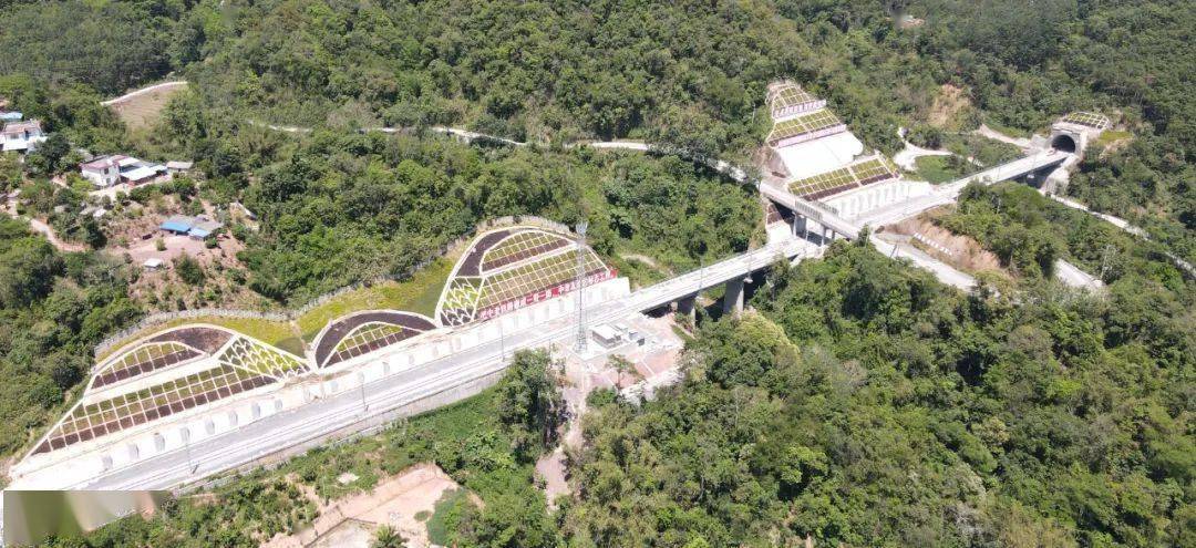 剩余的景寨隧道工期处于可控范围内,贯通在望目前隧道已贯通92座桥隧