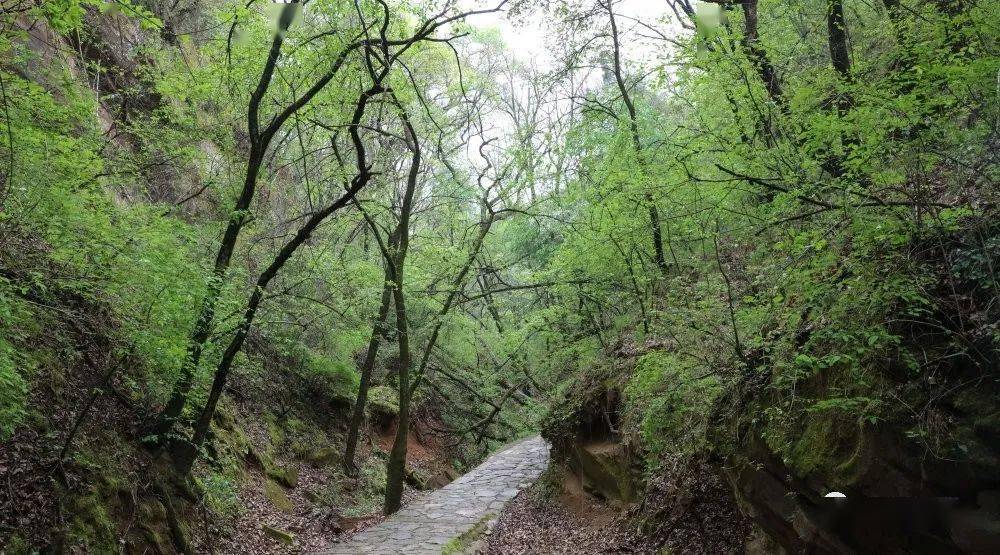 延安这个休闲避暑的好地方,五一假期你打卡了吗?_劳山