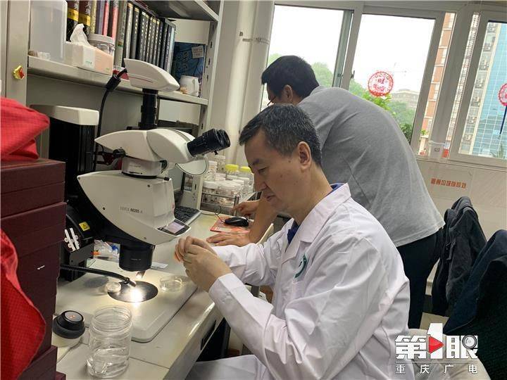 缙云山里 两种全新“蜘蛛侠”问世 !_张志升