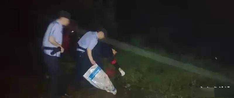 蛇什么时候最容易出没 e627ba8439a14b5093cd648e0ceb86da.jpeg