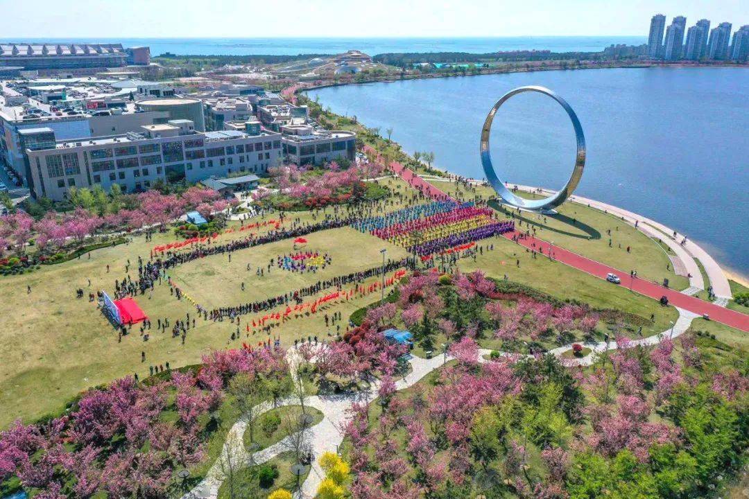 初夏荣成赏花莫负曼妙好时光