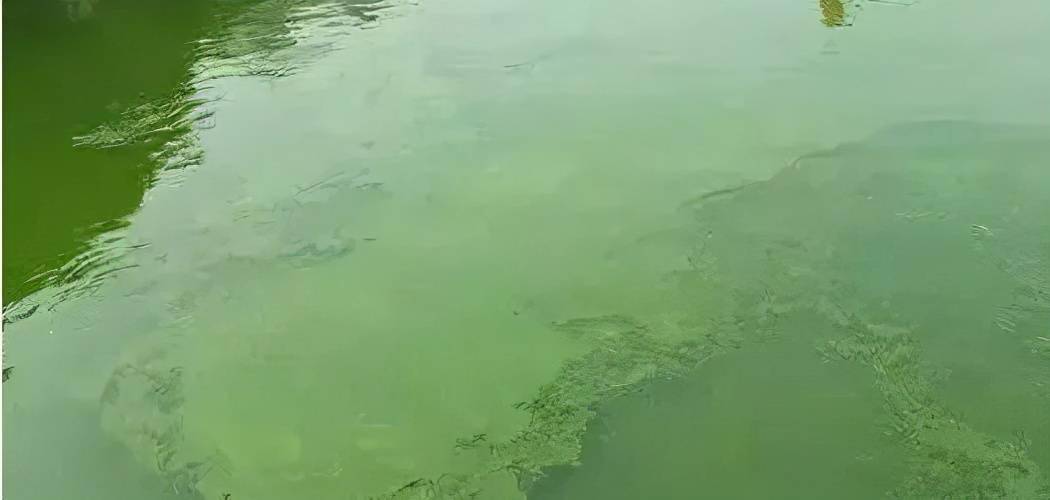要采取什么措施?_水色