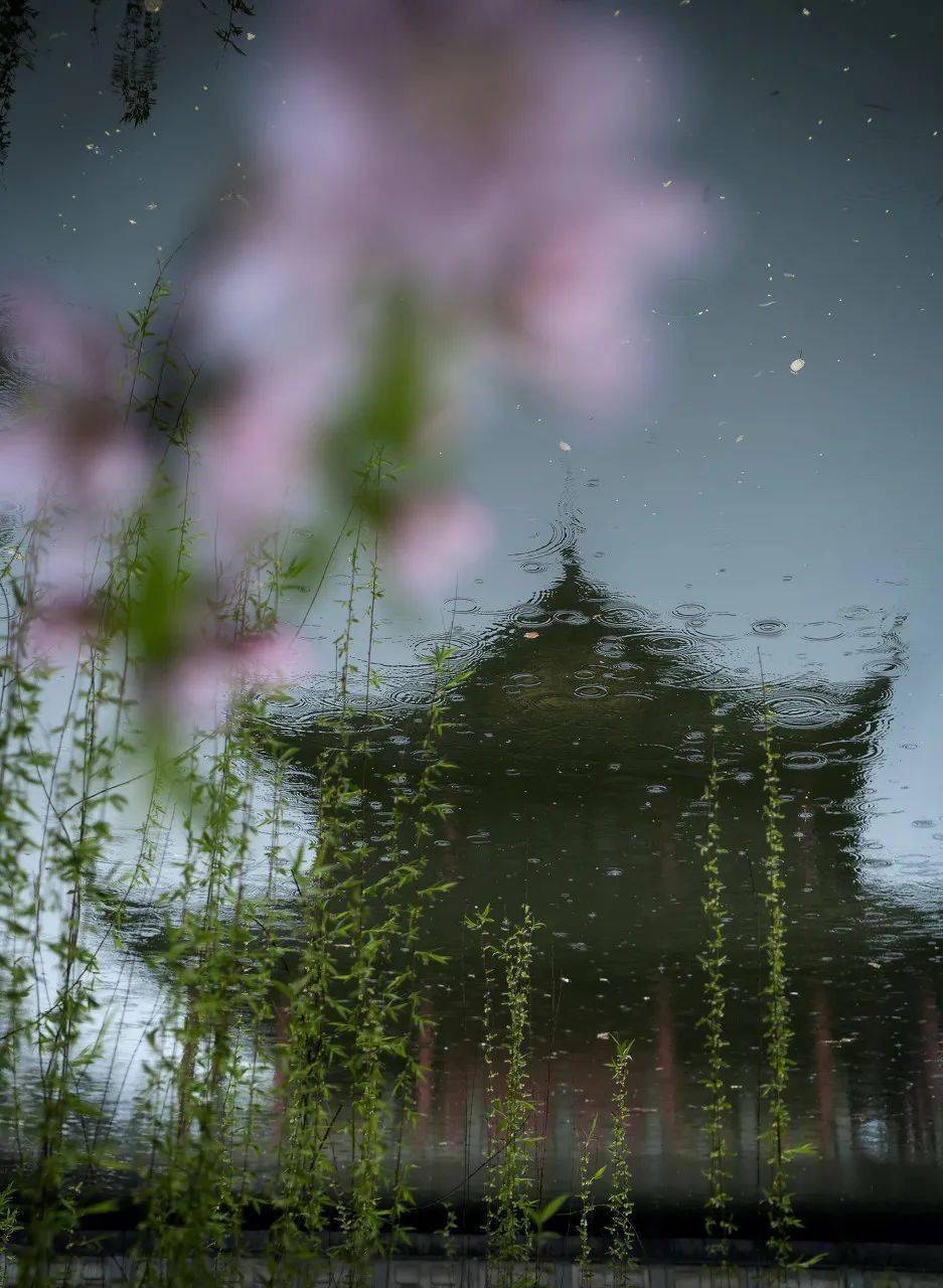 杏花烟雨江南细雨图片