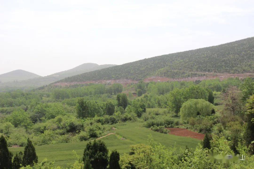 图+视频！带你一览烈山镇美景~