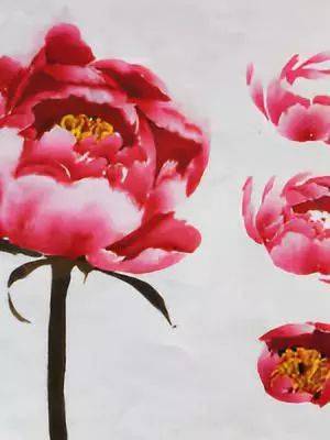 国画牡丹花苞,花瓣,叶子的画法