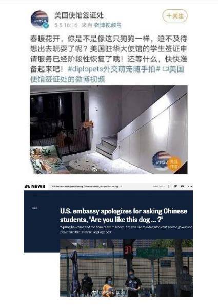 美国驻华使馆道歉曾将申请签证的中国学生比作狗