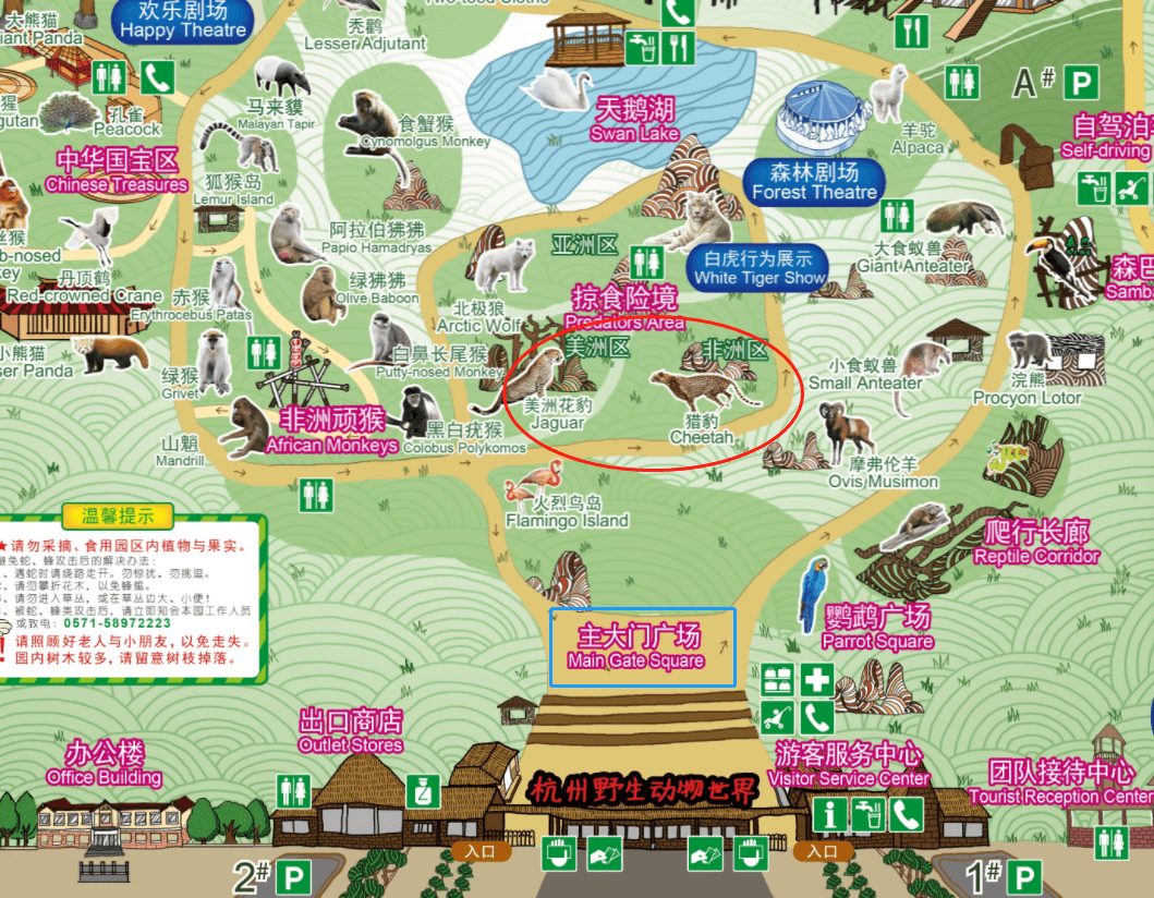 杭州已追回外逃金錢豹距園區2公里此前野生動物園否認有動物逃逸