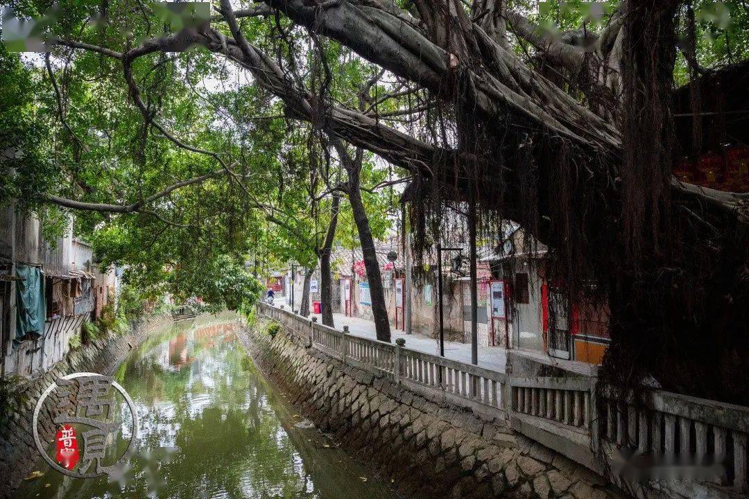 遇見揭陽 -- 青獅文化旅遊景區_榕城