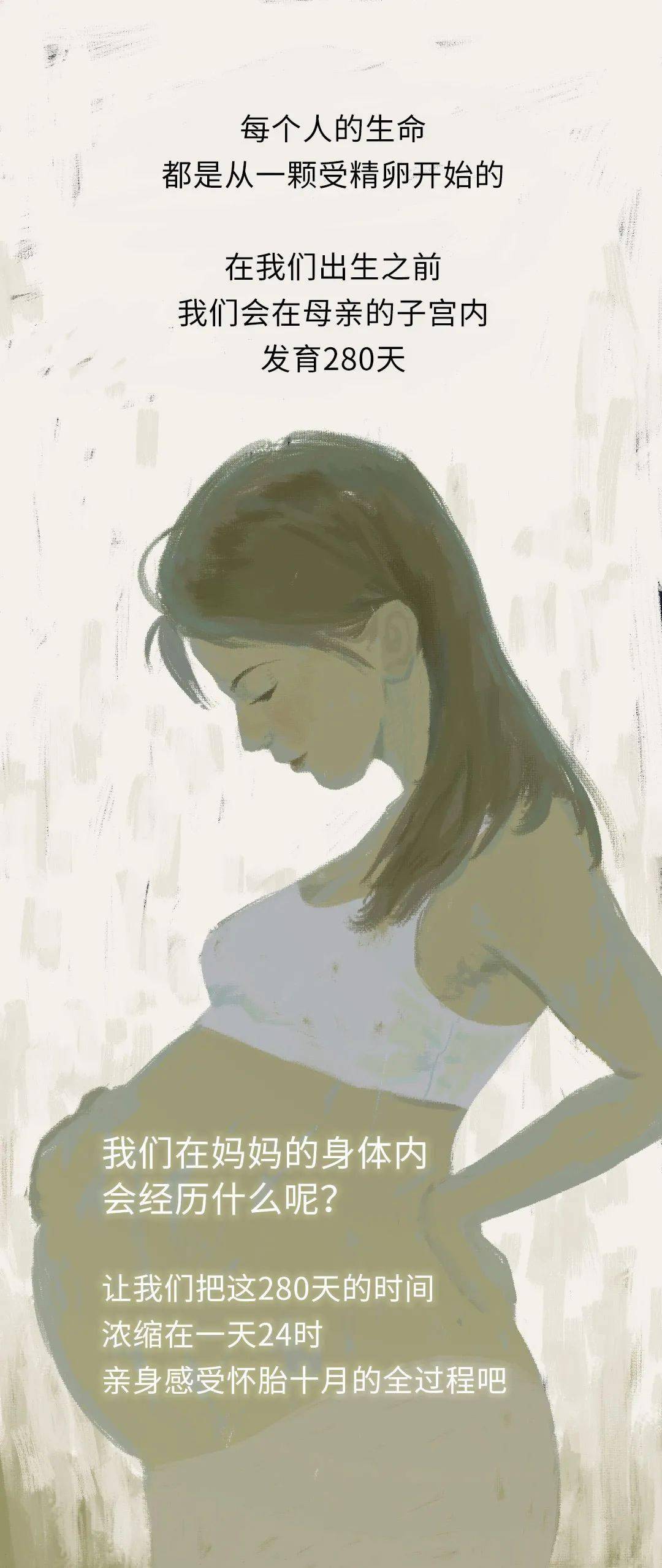 带你亲历怀胎十月的全过程