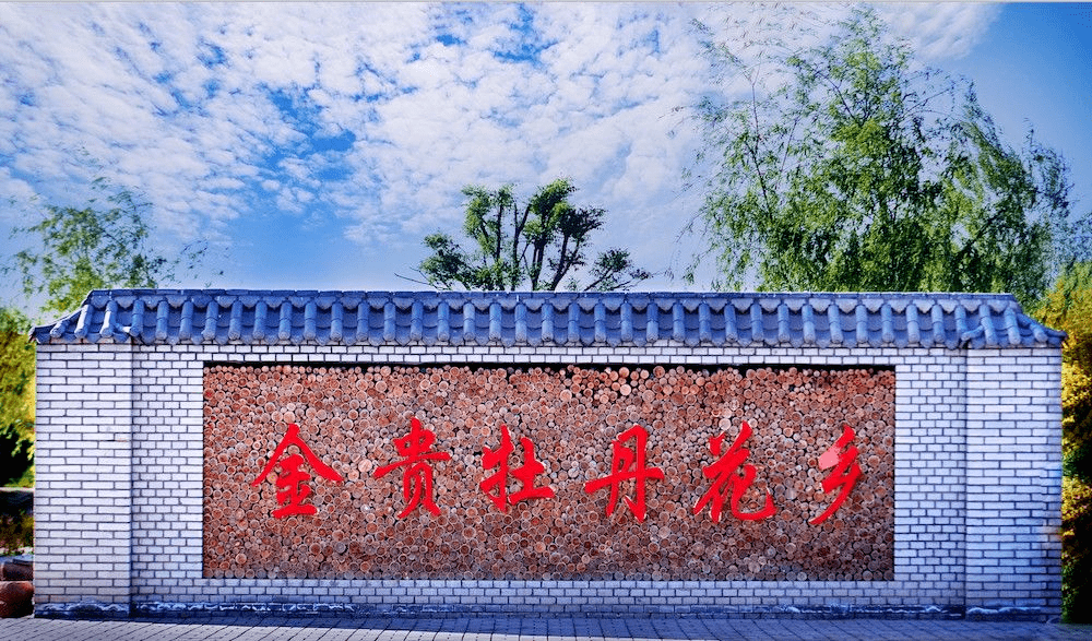 明媚夏日001元来金贵牡丹花乡采摘果蔬烧烤佳肴