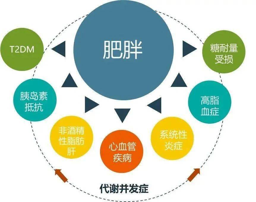 511世界防治肥胖日你是什么颜色的小胖友