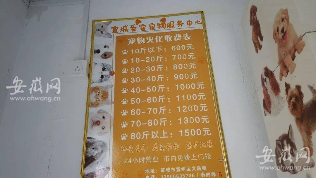 火化最高1500元还能美容告别宣城有家宠物殡仪馆