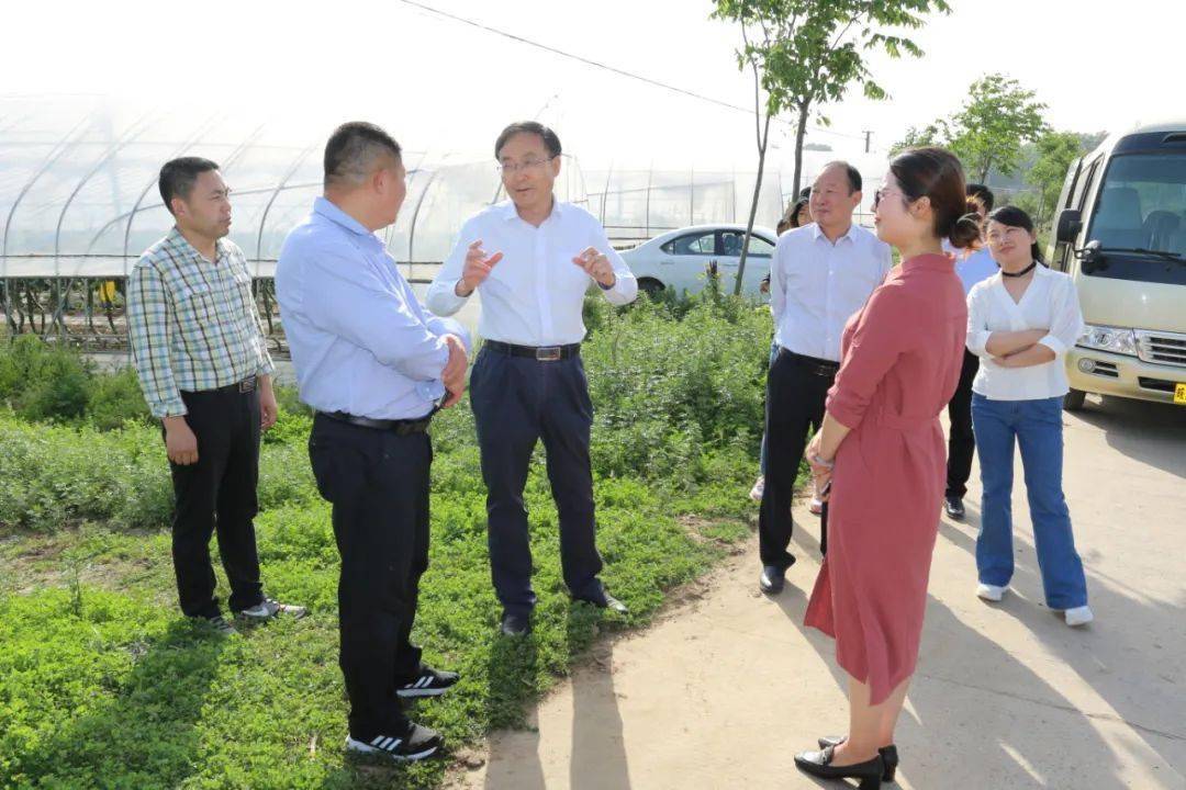王民生副市长调研农业企业