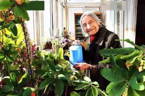 就是这件灰格毛衣这位98岁高龄的老人到底是谁