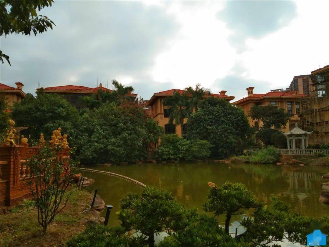 石湾沙河大桥旁的纯别墅小区你有朋友住这里吗