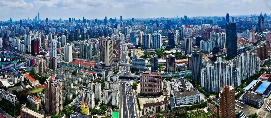 "量体裁衣""搭窝筑巢"……企业落户普陀的待遇也太好了吧!