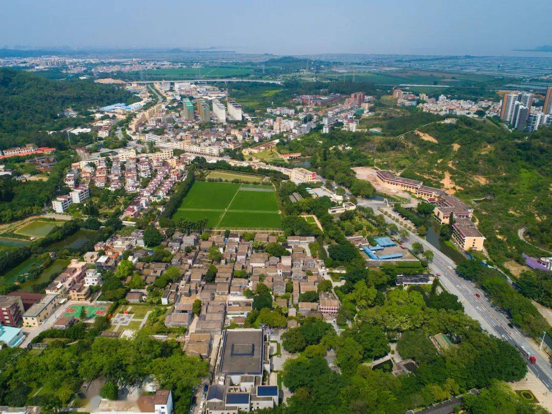 红色百城丨木棉花红映中山_杨殷