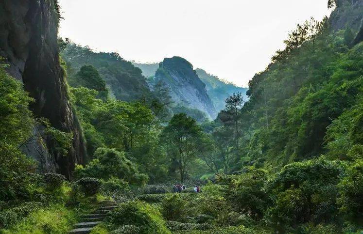 这里有一份难能可贵的正岩核心坑涧陈化样本名家监制十五年陈慧苑坑