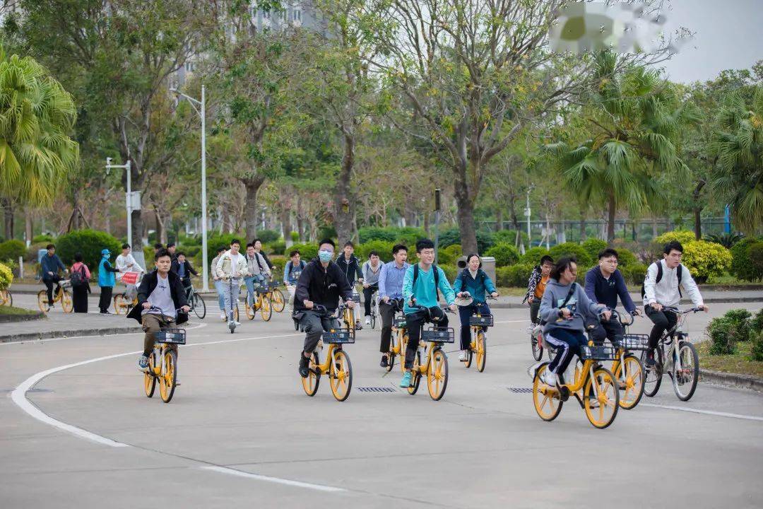 2千小黄重进校园!_单车