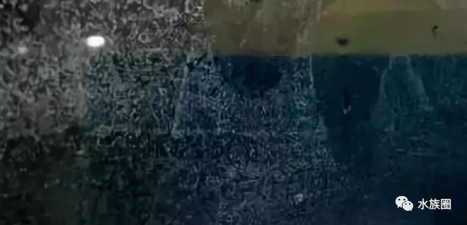 fbd5caa117304e6091e93f1b702a6079.png