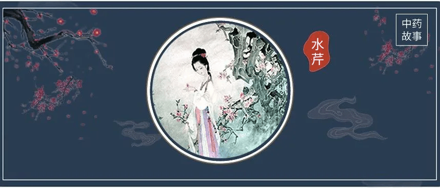 曹雪芹对"芹"情有独钟,红楼梦「水芹」中药故事_贾芹