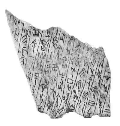 袁广阔:观迹定书——考古学视野下夏商文字的传承与发展_二里头