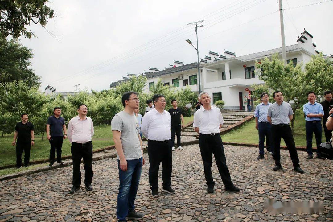 "调研组组长,中国人民银行金融市场司副司长彭立峰率调研组来我县调研