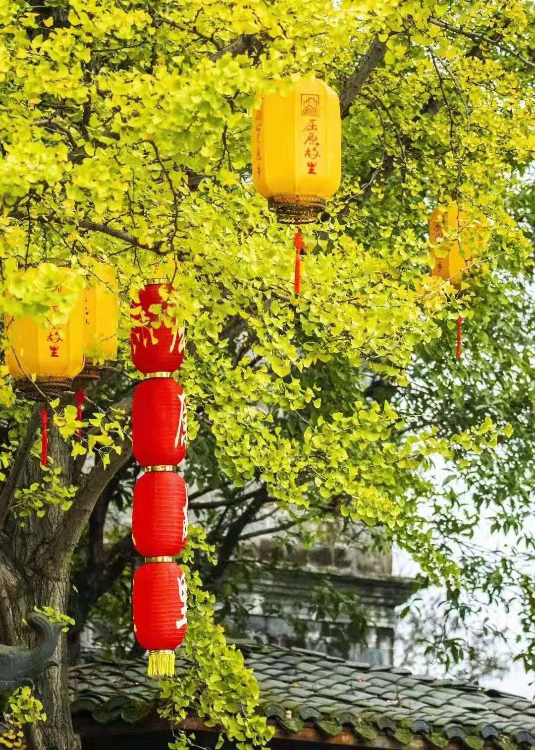 【宜昌真秀美 · 秭归】屈原故里