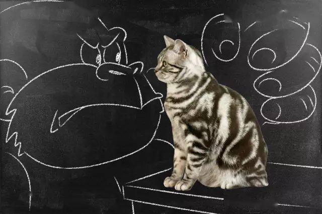 所以今天小编给你萌带来了终极版,看看如果你家猫咪跳上黑板,你能给它