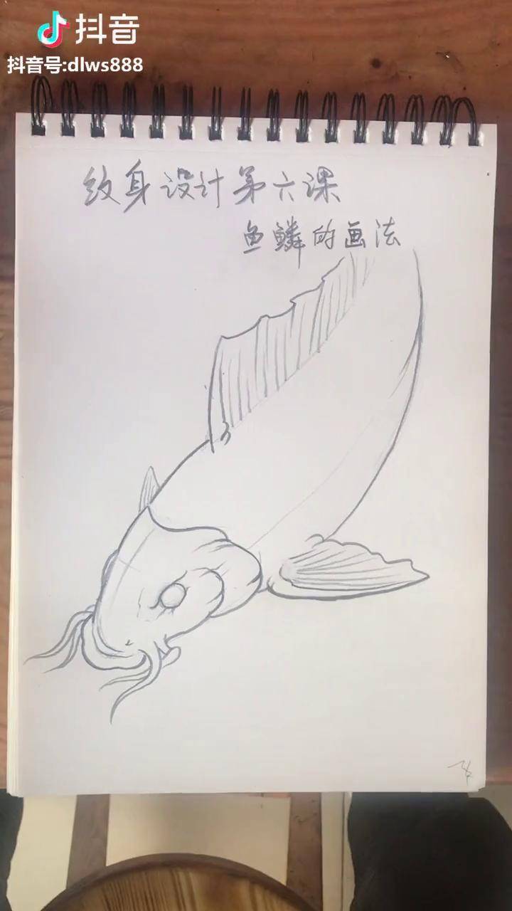 鱼鳞画法教学图片