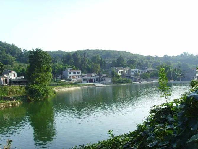 品味遵义 · 静听时光 | 新桥河_油菜花