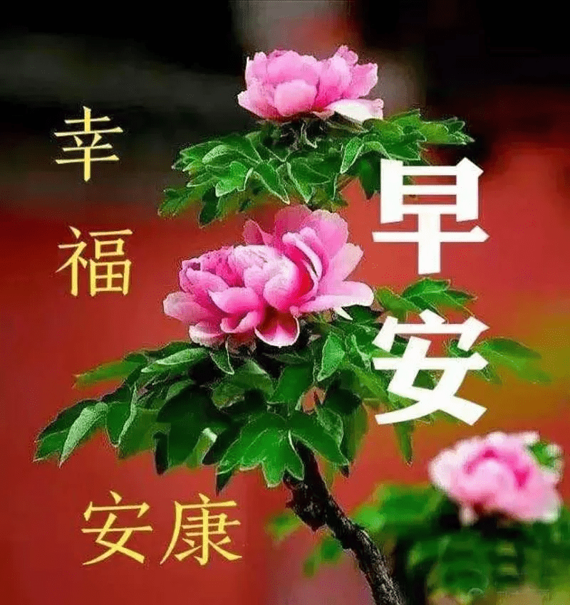愿平安绕您身旁喜悦与你同行好运永相随早安
